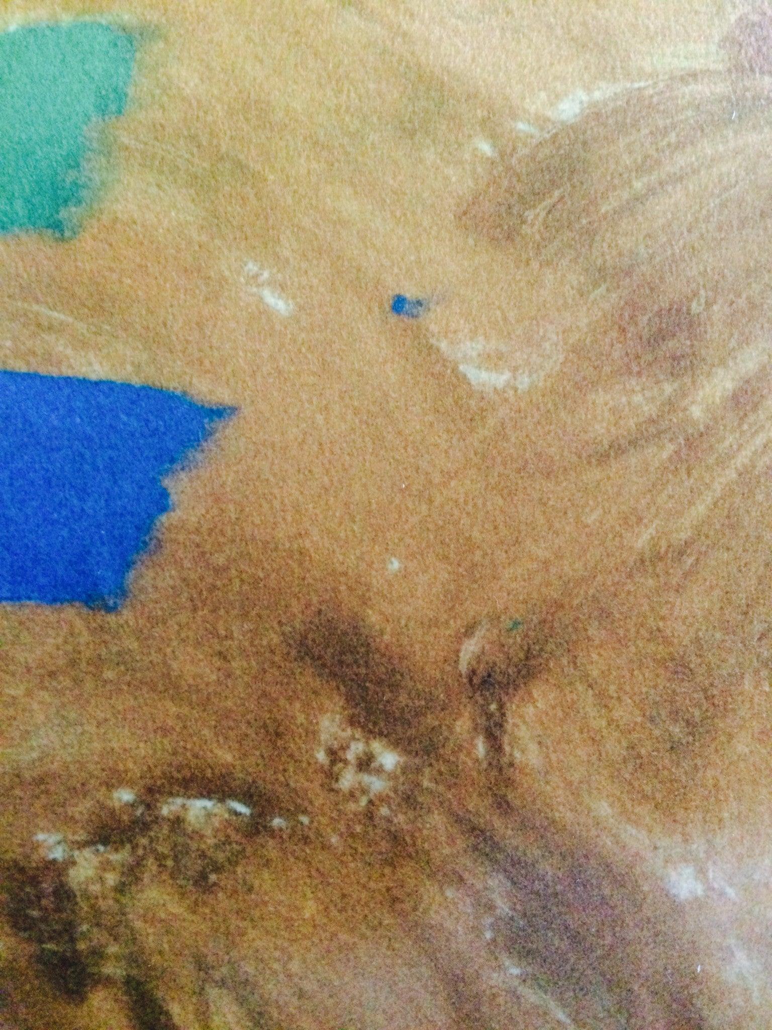 Tempo Giusto Pillow - JACK